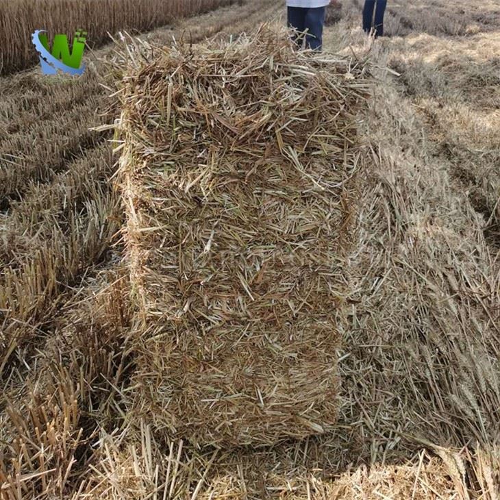 Square Baler 6
